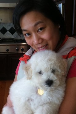 Beast első kutyakozmetikus-látogatása után Priscilla Chan-nel
