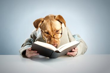 Fontos, hogy megfelelő forrásból tájékozódj.