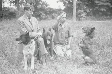 Balto, Silla és a többiek.