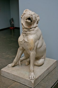 Ókori molosszus.