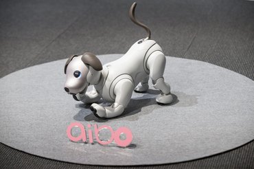 AIBO-t, a robotkutyát a gyerekek számára fejlesztették ki. Többféle, kutyához hasonló akciót tudott végrehajtani, de nagyon lassan mozgott és érzékelése is korlátozott volt.