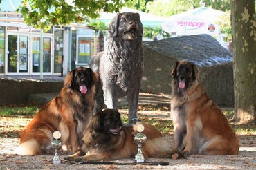 Fotó: Sissy-Haus Kennel
