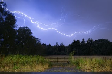 Sokszor nem csak a mennydörgés ijesztő számukra, hanem a villámlás is.