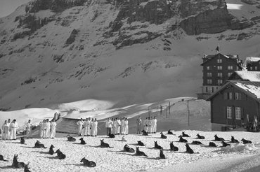 Lavinakutyák képzése 1952-ben.