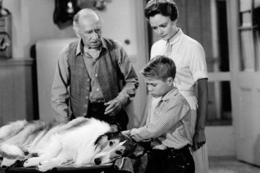 Részlet a Lassie című sorozatból, 1962-ből.
