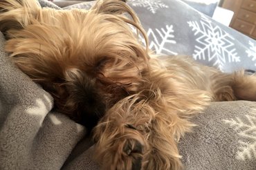 Lola megtartotta jó szokását! /Fotó: László Enikő