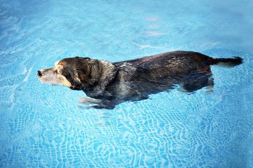 Keresztszalag-szakadás utáni rehabilitáció.