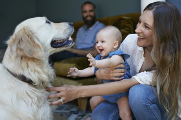A kutyatartás jelentősen elősegíti a szociális élet megfelelő működését.