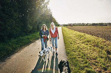 A kutyák általában kerülik a konfliktust. Inkább megvárják a másik fél reakcióját azelőtt, hogy támadnának.