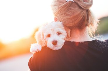 Az eredménnyel összeségében a legmagasabb besorolásba kerültek az állatok, mellyel a végső soron megelőzték a család, a barátok, a szakemberek és a vallási vezetők szerepét