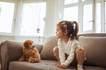 Előfordulhat, hogy a kutya nem kedveli a gyerekeket, erre nagyon oda kell figyelni, nehogy konfliktus adódjon belőle.