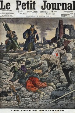 A francia hadsereg háromezer mentőkutyája körülbelül 10.000 katona életét mentette meg.