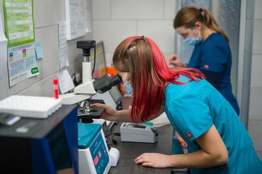 Fotó: Suttogó Állatorvosi Rendelő