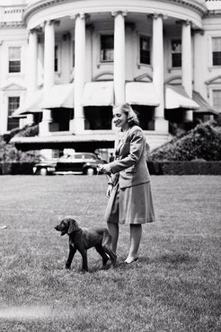 Truman lánya sétáltatja az egyik ajándékba kapott kutyát, Mike-ot.