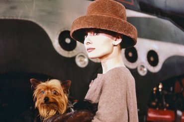 Audrey Hepburn és kutyája a Mókás arc című film forgatásán.