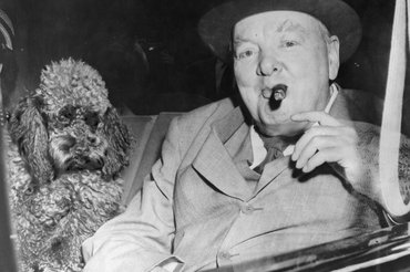 Churchill és szeretett uszkárja.