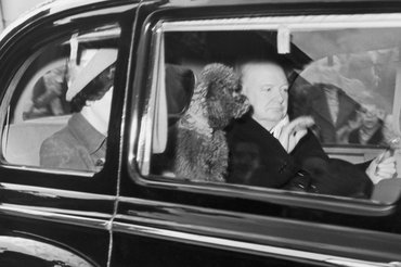 Churchill és szeretett kutyája, Rufus 1951-ben, útban hazafelé a Buckingham palotából.