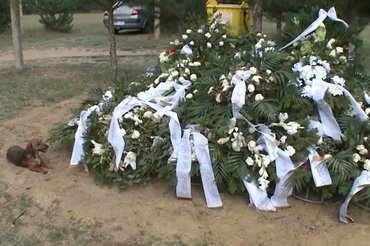 A kis kutya napok óta nem mozdul gazdája sírja mellől / Fotó: Tények.hu