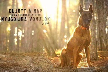 Fotó: Pest Megyei Kutató-Mentő Szolgálat