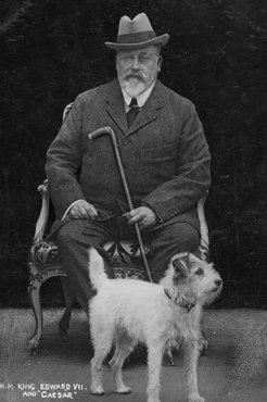 VII. Edward és kutyája, Cézár.