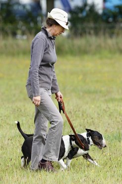 Anna hercegnő bullterrierjeivel.