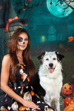 Fotó: @bellavoyage.dog