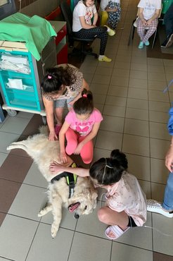A gyerekek nagyon örülnek a kutyusoknak.