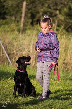 Fontos, hogy valamennyi résztvevő, így a gazdák és kedvenceik is élvezzék a közös munkát./Fotó: MCS-PHOTO (Csoba Máté)