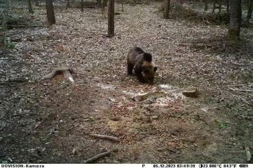 A képet az Az Aggteleki Nemzeti Park osztotta meg Facebook oldalán.