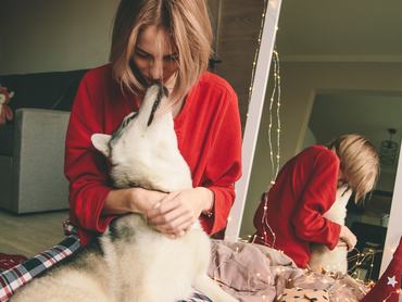 A husky a tanulmány szerint barátságtalan kutya, de ezt többen cáfolják.