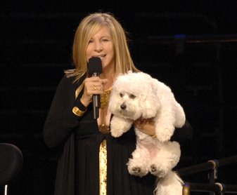 Barbara Streisand nem tudta feldolgozni Samantha halálát, kiónoztatta az elpusztult kutyát.