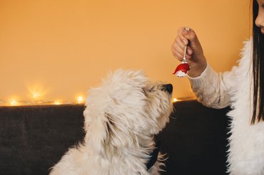Tartózkodjunk attól, hogy mindenből adjunk egy kóstolót kedvencünknek, ezt pedig kommunikáljuk a család többi része felé is.