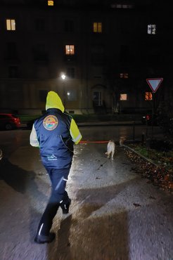 Városban is helytállnak
