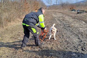 A feladat végeztével jöhetett a játék