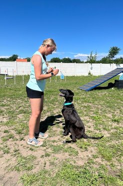 Az agár Imhof Bianka agility edzővel gyakorol