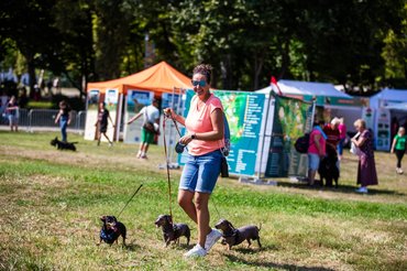 gazdi tacskókkal a dogz fesztiválon