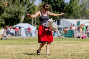 Illés Tímea dog dancing oktató és kutyája a DOGZ Fesztiválon