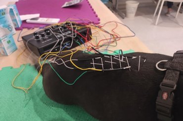 Ropi és az akupunktúrás kezelés
