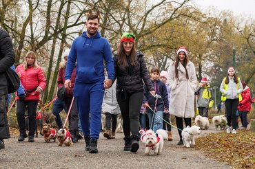 DOGZ Mikulás Falkaséta