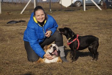 Sz. Látó Judit kutyákkal
