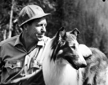 Lassie Robert Bray színésszel