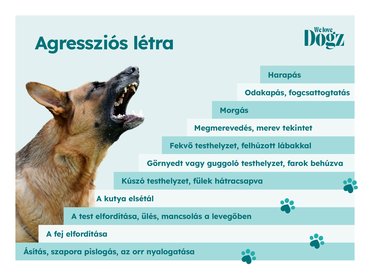 Agressziós létra