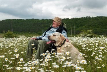 idős férfi vadvirágmező közepén ül labradorjával