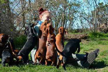 Jüling Tóth Andrea tenyésztő a tacskóival